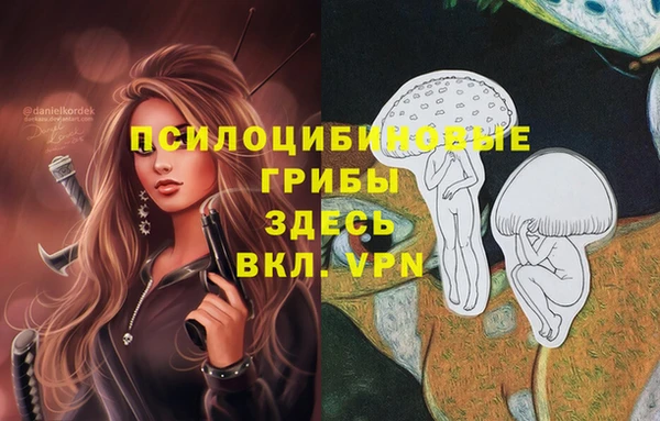 ALPHA PVP Волосово