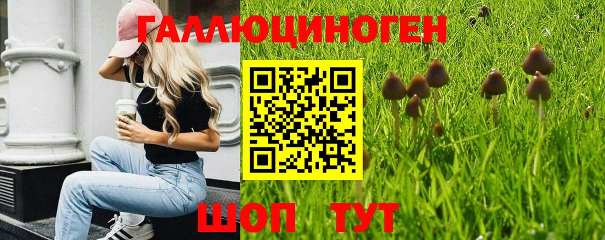Галлюциногенные грибы мухоморы Камышин