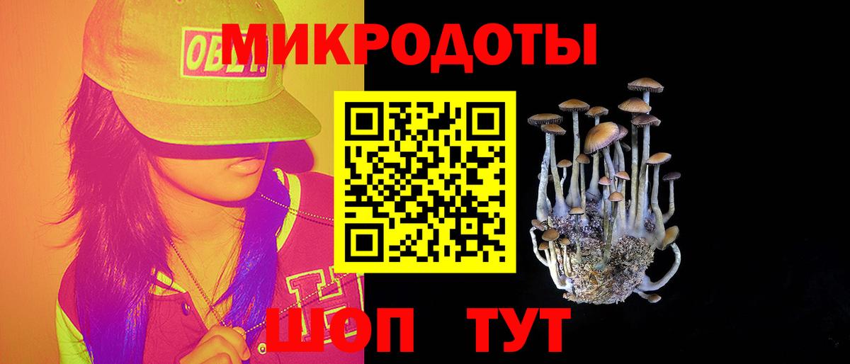 Галлюциногенные грибы Psilocybine cubensis  Вход с VPN  Камышин 