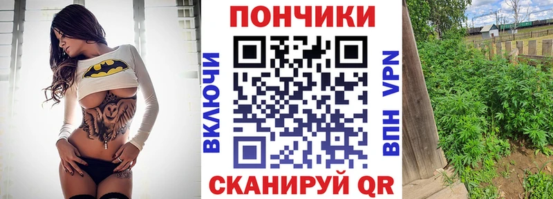 Каннабис White Widow  mega рабочий сайт  Камышин 